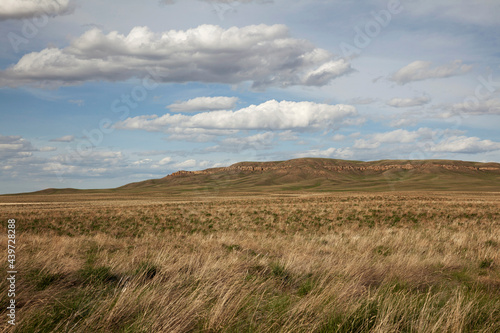 The prairie landscape in Montana.