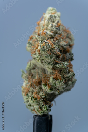 Cannabis Flower Macro - Strain: Sergiovise