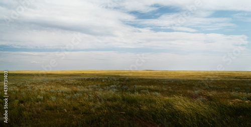 Pastel grasslands on the prairies. photo