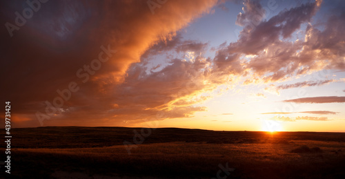 The prairie landscape in Montana.