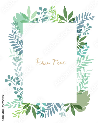 手描きタッチ背景に様々なハーブと草木が飾られたメッセージフレーム vector botanical illustration elements frame