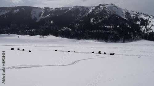wide angle pan of lamar valley during winter at ynp photo