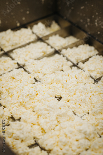 the making of halloumi grill cheese photo