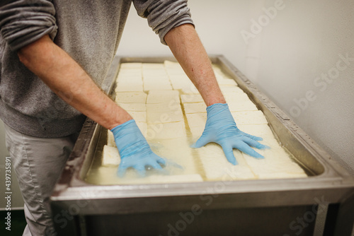 the making of halloumi grill cheese photo