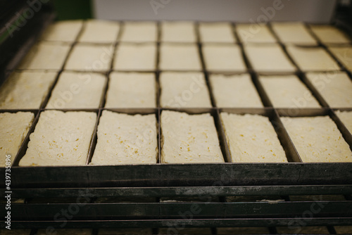 Halloumi resting in metal trays photo