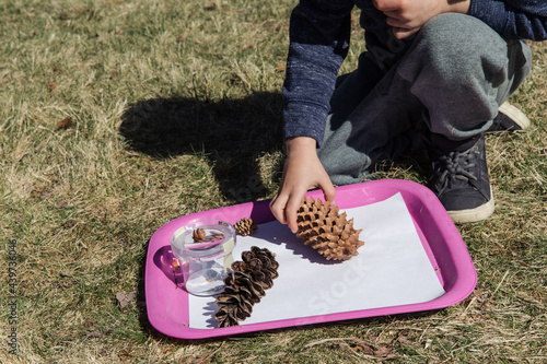 Little boy pointing at the pinecone on a tray outside photo