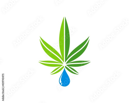 Green cannabis leaf with water drop above