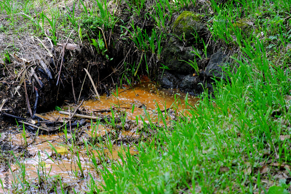 Obraz premium 汚染された小川のイメージ