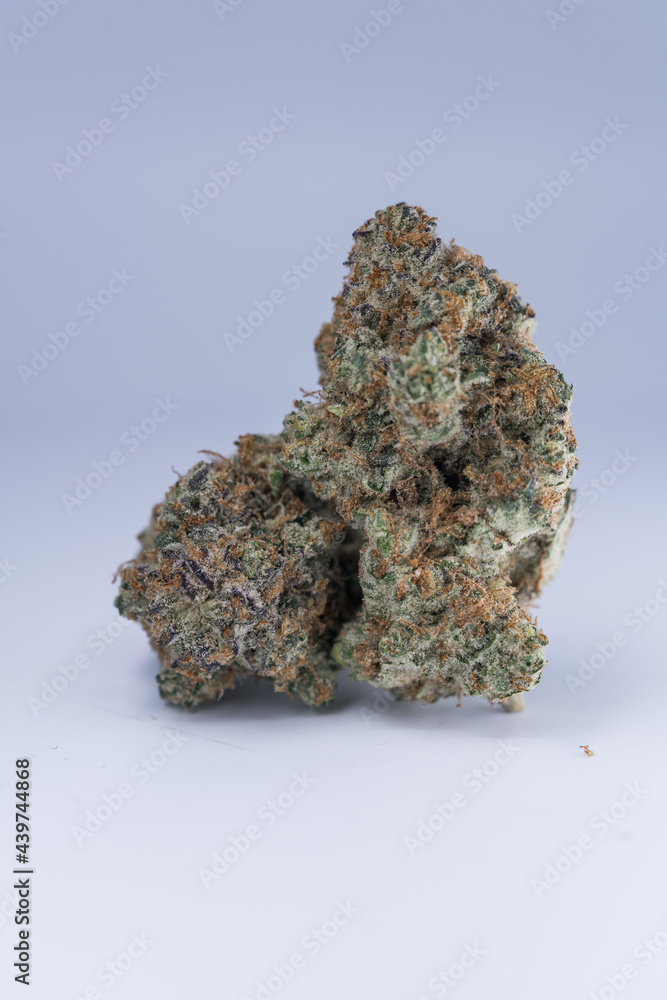 Cannabis Flower Macro - Strain: Sundae Driver Cannabis Flower Macro - Strain: Sundae Driver