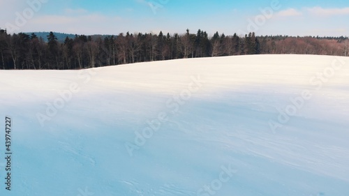 Snow-covered sloppy landscape during the winter season. Grove of trees in the background. Bright sunny day with sunlight hitting the snowy land. Scenic blue sky in the background. High quality photo. 