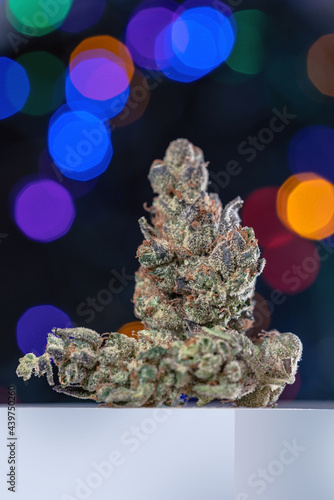 Cannabis Flower Macro - Strain: Gelato Cake