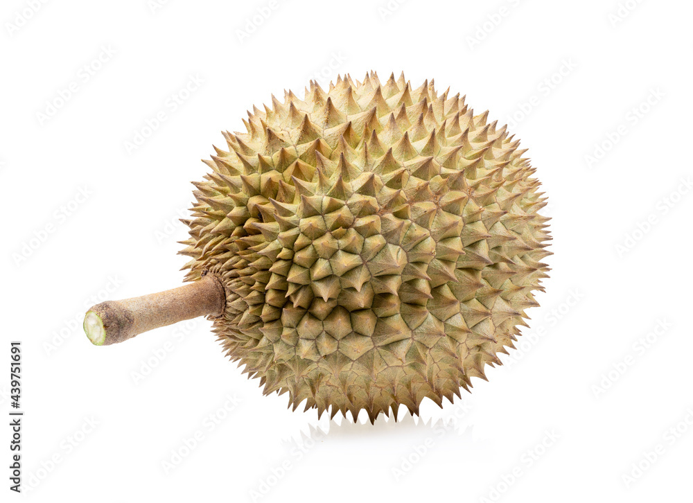 Durian isolated on white background. Durian isolated on white background.