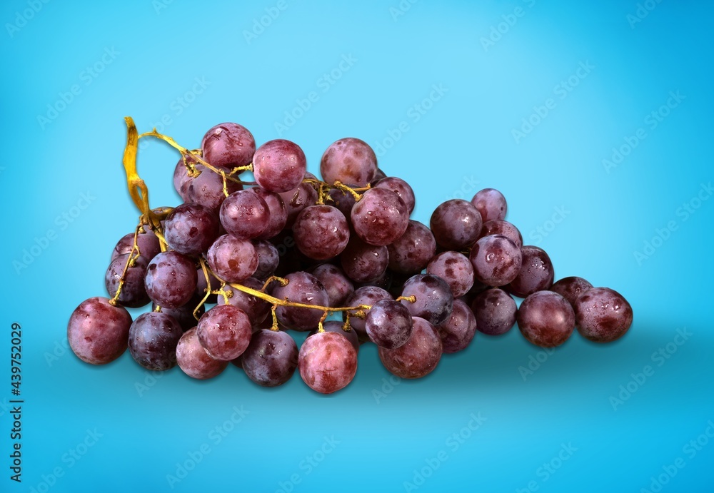 Obraz premium Grape.