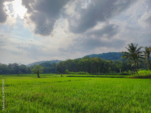 field and sky with clouds