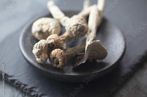 Psilocybin Mushrooms photo