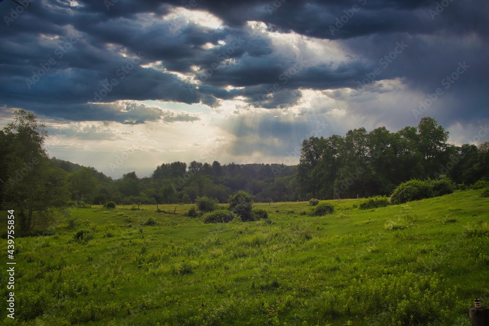 Field of clouds Field of clouds