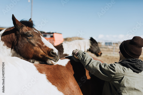 Farmhand Brushing Horse  photo