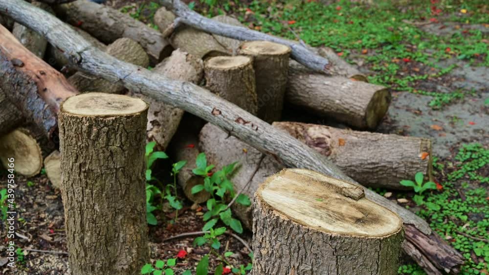Stack of woodpile and bonfire in the countryside. Wooden environment material. Stack of woodpile and bonfire in the countryside. Wooden environment material.