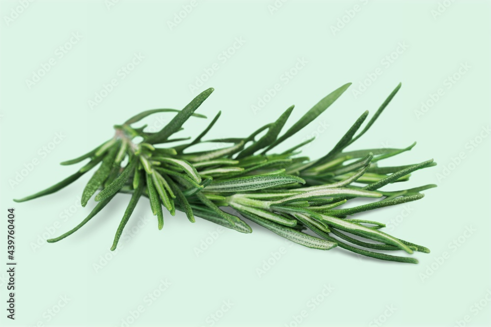 Fototapeta premium Rosemary.