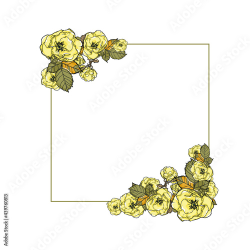 Floral illustration in the form of a frame for designers. Flowers with empty space for cards, wedding invitations, florists on white background