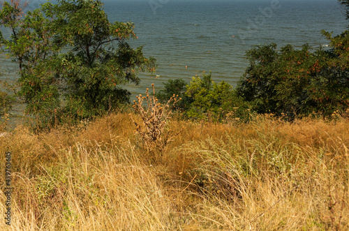 People swimming in the Azov sea at Kamenka beach. Russia, Sea of Azov, Krasnodar Territory, Yeysk. photo