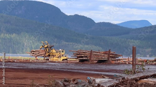 Logs ramp. Wooden logs of pine woods stacked in a pile in the village of Sayward in Canada with mountains in the background. Selective focus photo