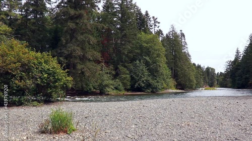 View of Puntledge River in Puntledge Park in Courtenay during summer months photo