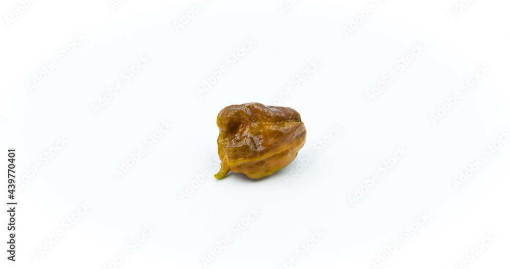 chili pepper chili pepper