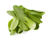 fresh pak choi cabbage isolated on white background