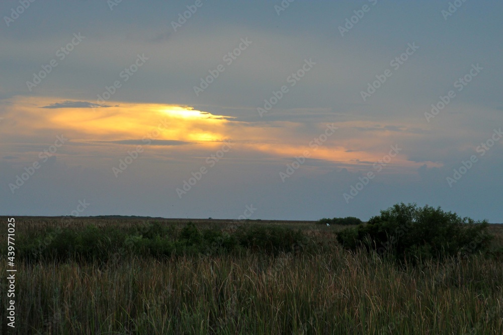 Fototapeta premium sunset storm in the Everglades National Park