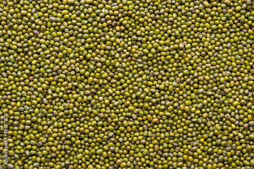 Green bean or mung bean background photo