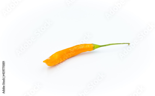 chili pepper © Paul