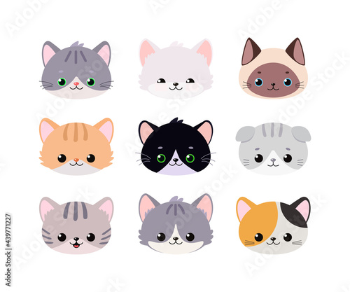 Set of cute cat faces isolated on white background