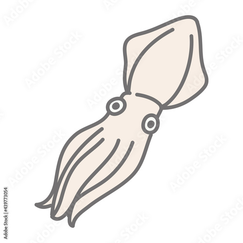 イカのイラスト