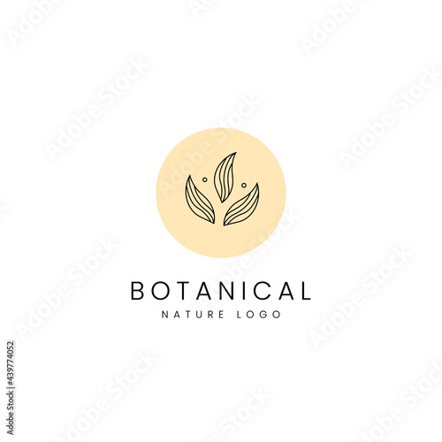 Fototapeta Naklejka Na Ścianę i Meble -  Group of tree leaf nature botanical minimalist simple line logo icon