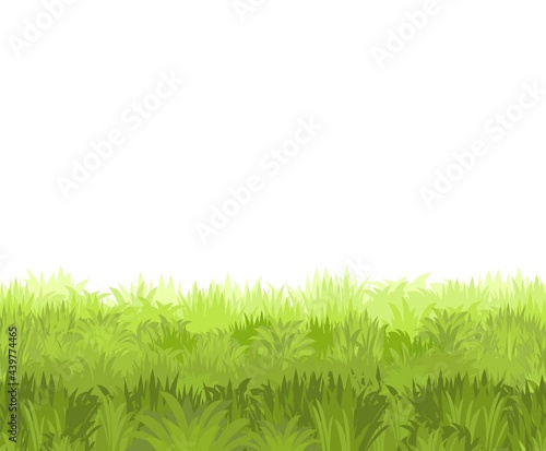 Lawn. Seamless illustration. Grass close-up. Green summer landscape. Rural pasture meadow. Cartoon style. Flat design. Isolated on white background. Vector art