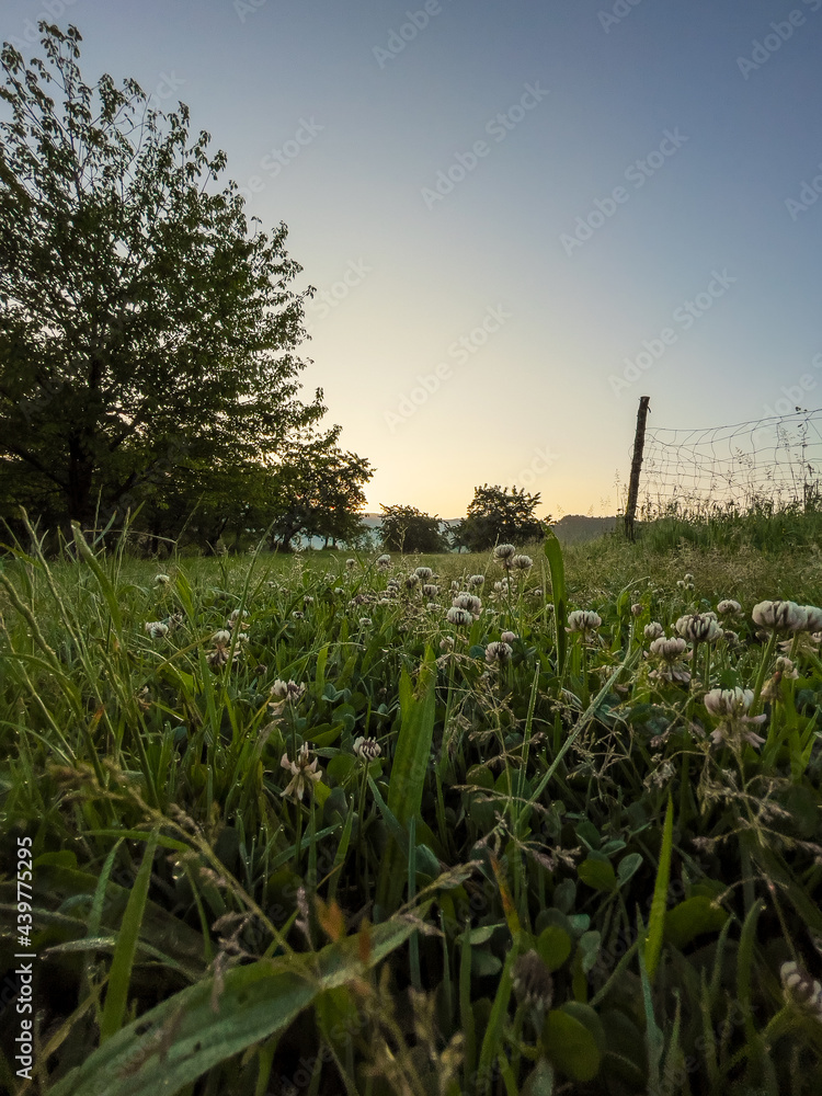 Camping im Schwarzwald Camping im Schwarzwald