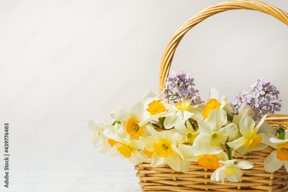 Summer or spring bouquet of daffodils and lilacs in a wicker basket located on a white background. Isolated
