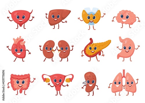 Cute internal organ with funny faces. Heart, stomach, liver, kidney, lung, brain, bladder, uterus. Cartoon healthy human organs vector set. Physiology health education for children