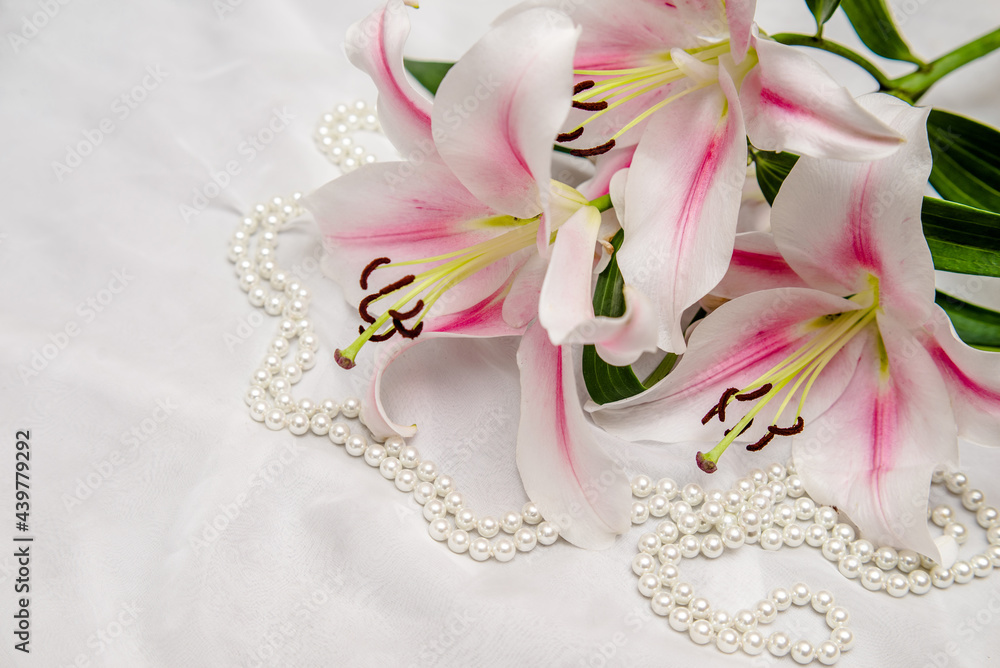 The branch of white lilys on white fabric background
The branch of white lilys on white fabric background