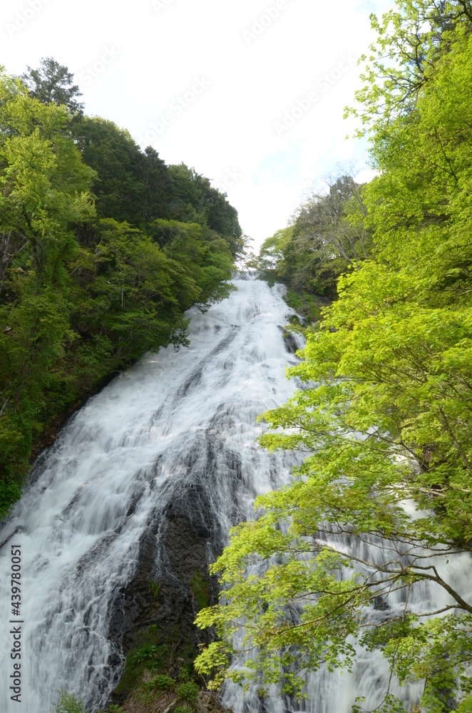Waterfall among the fresh greenery Waterfall among the fresh greenery