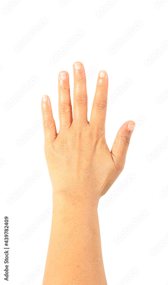 Obraz premium Woman hand isolated on white background