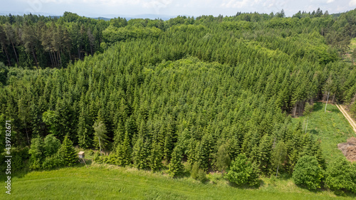 Aerial view of a beautiful forest
