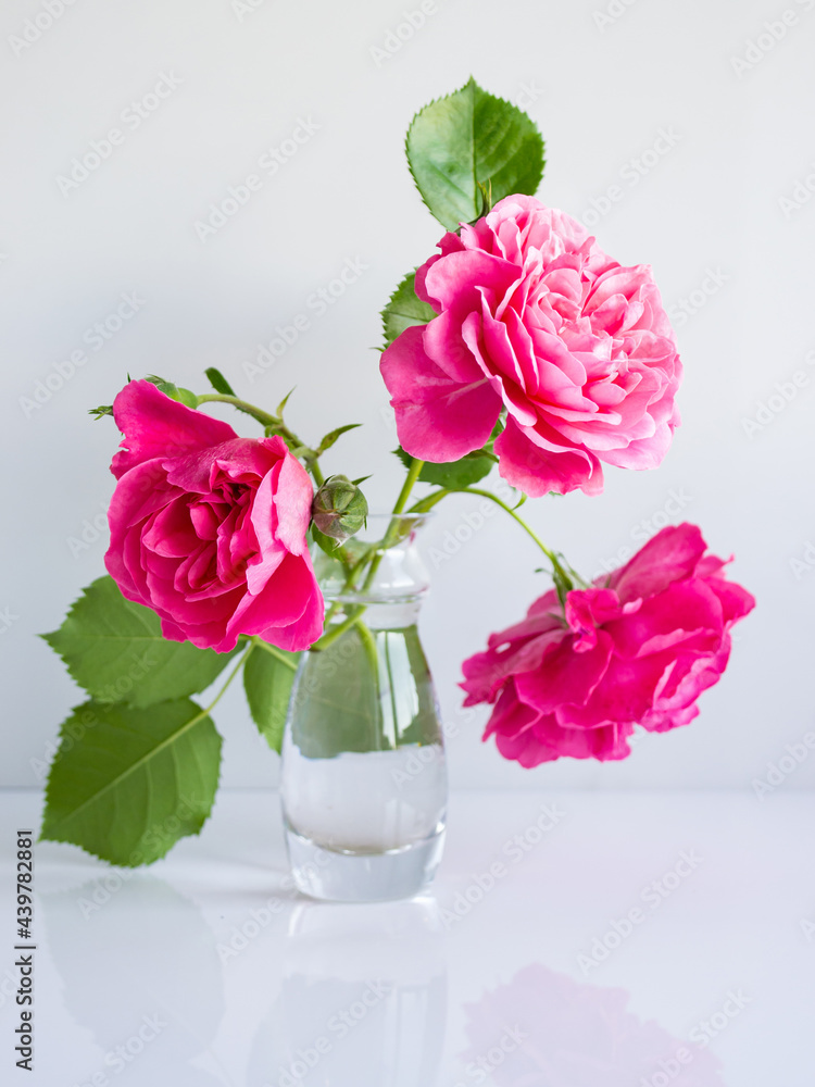 romantic delicate bouquet of pink garden roses on white background romantic delicate bouquet of pink garden roses on white background