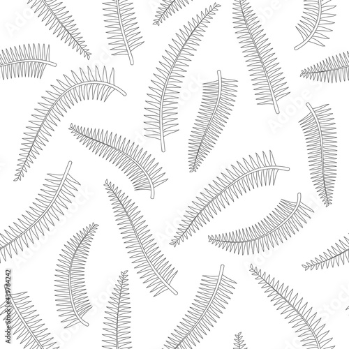 Tropical fern leaves gray outline drawing seamless pattern. White background. Jungle foliage line art texture. Stock vector illustration.
