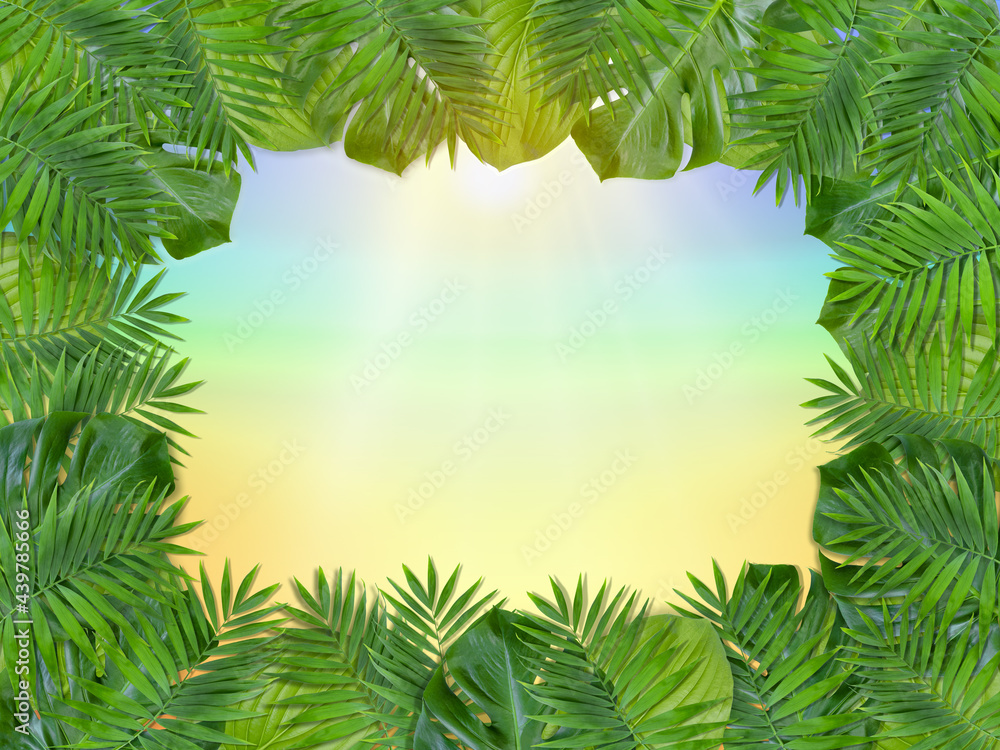 Tropical leaves frame ,leaves of monstera, kentia palm, hosta plantaginea ,sun lights
