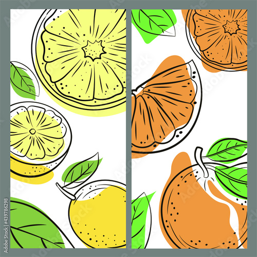 Fototapeta Naklejka Na Ścianę i Meble -  Lemon and orange, labels. Design of stickers for the store of natural fresh fruits and drinks.
 A set of vector color illustrations.