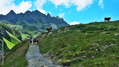 Austrian Alps-view on the path with tourists in valley Ochsental