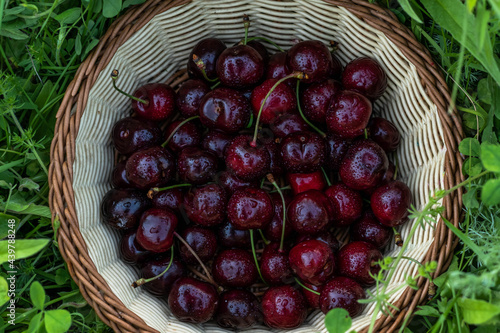 cherries in a basket