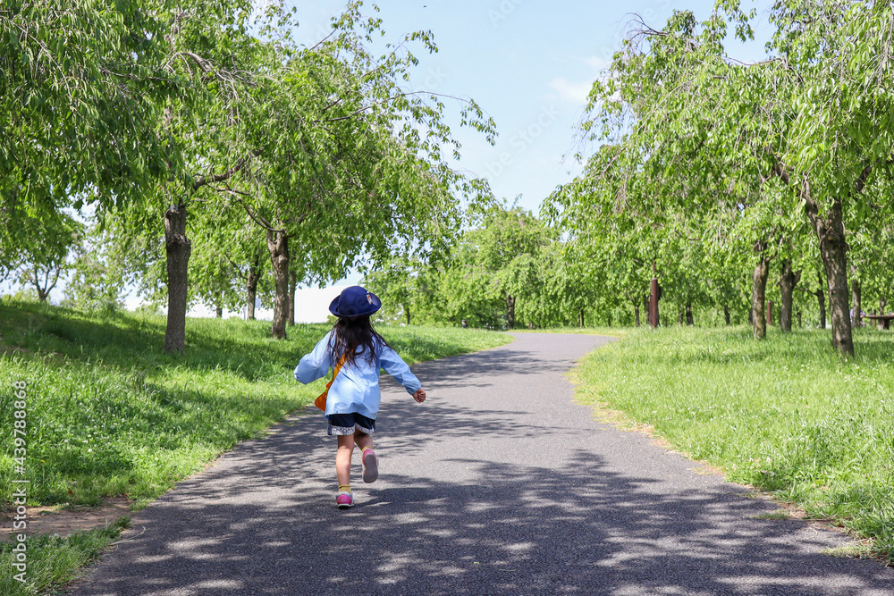 Fototapeta premium girl in the park